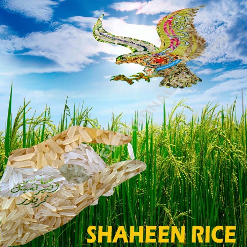 Rice
